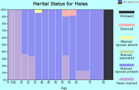 Zip code 12824 marital status for males