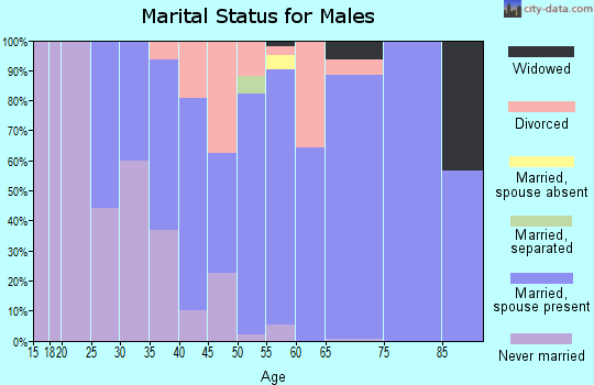 Zip code 12827 marital status for males