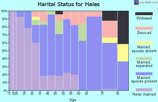 Zip code 12828 marital status for males