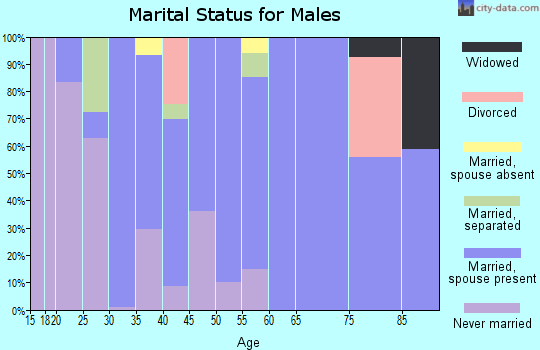 Zip code 12833 marital status for males