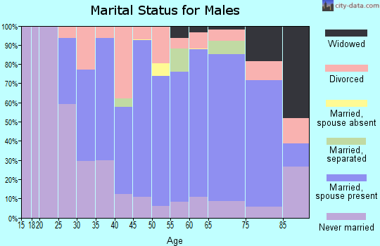 Zip code 12834 marital status for males