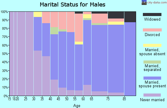 Zip code 12835 marital status for males