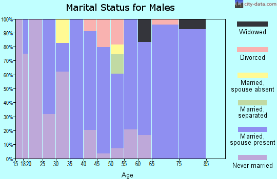 Zip code 12837 marital status for males