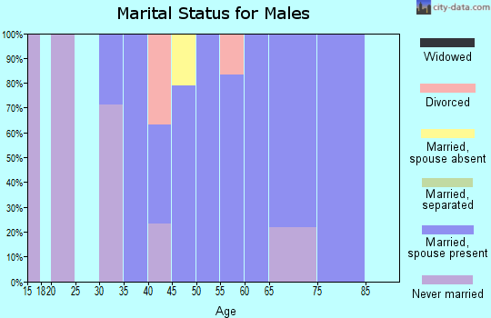 Zip code 12838 marital status for males