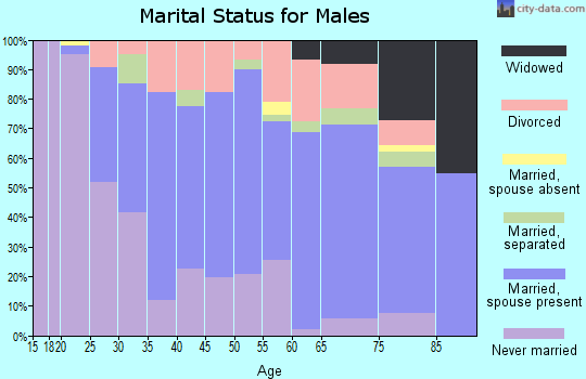 Zip code 12839 marital status for males