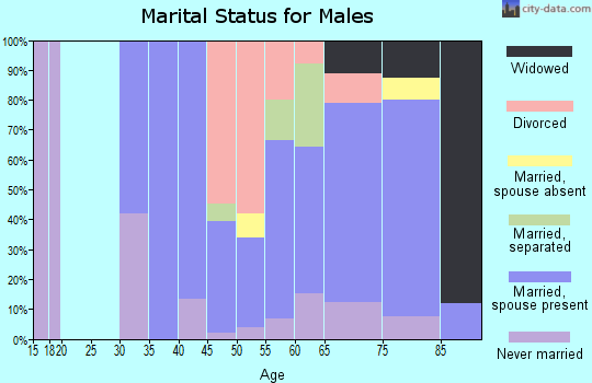 Zip code 12842 marital status for males