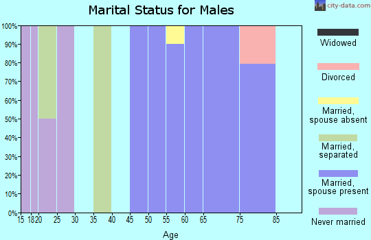 Zip code 12844 marital status for males
