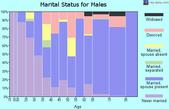 Zip code 12845 marital status for males