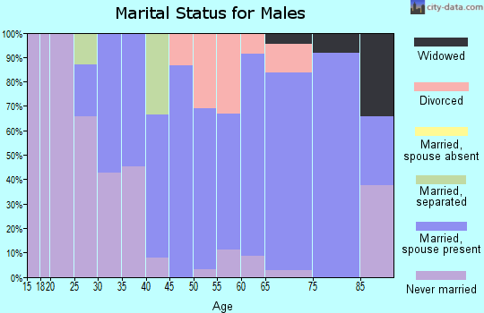 Zip code 12846 marital status for males
