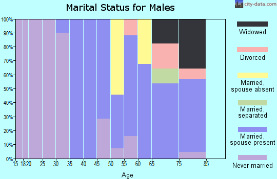 Zip code 12847 marital status for males