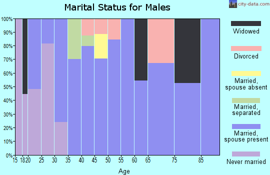 Zip code 12859 marital status for males