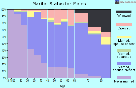 Zip code 12866 marital status for males