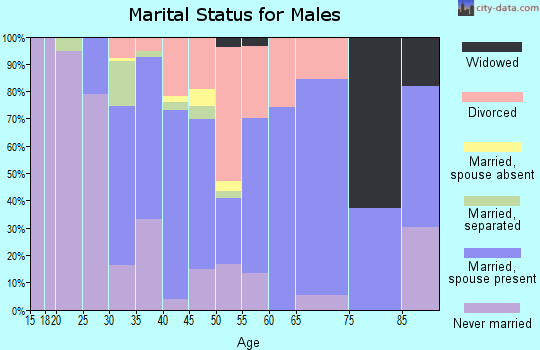Zip code 12871 marital status for males