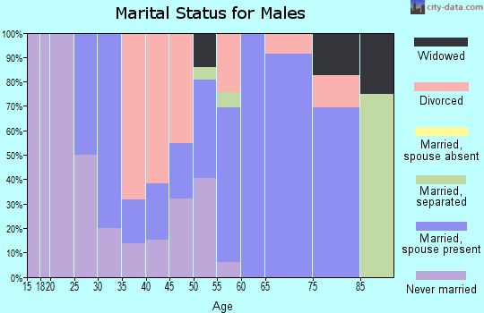 Zip code 12878 marital status for males
