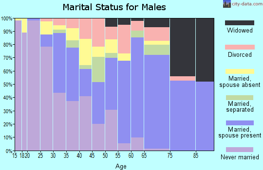 Zip code 12887 marital status for males