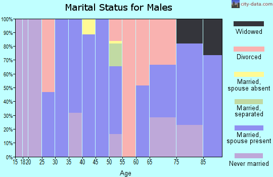 Zip code 12903 marital status for males