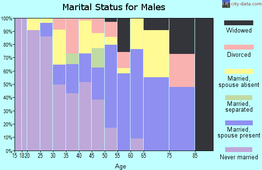 Zip code 12910 marital status for males