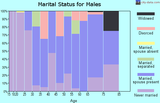 Zip code 12912 marital status for males