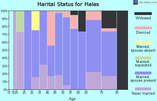 Zip code 12913 marital status for males