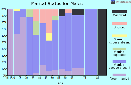 Zip code 12916 marital status for males