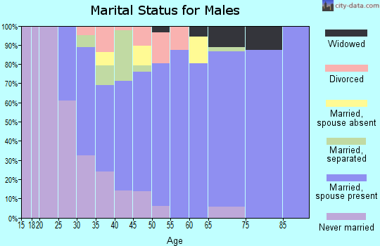 Zip code 12917 marital status for males
