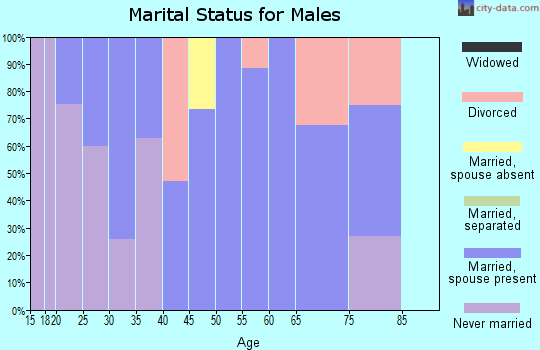 Zip code 12918 marital status for males