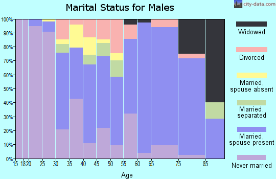 Zip code 12920 marital status for males