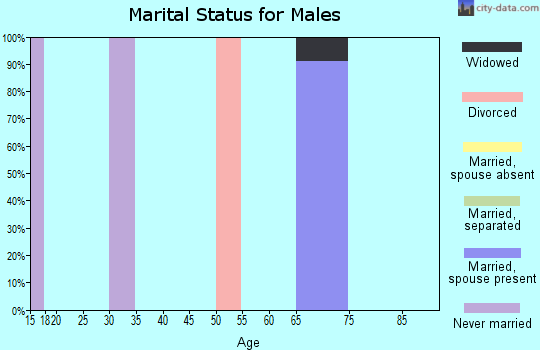 Zip code 12922 marital status for males