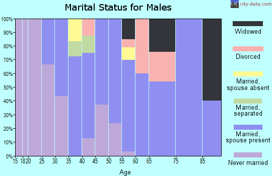 Zip code 12923 marital status for males