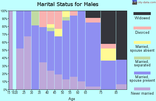 Zip code 12928 marital status for males