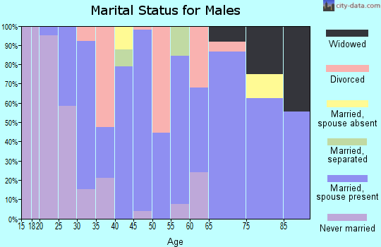 Zip code 12930 marital status for males