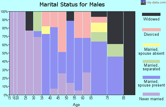 Zip code 12932 marital status for males