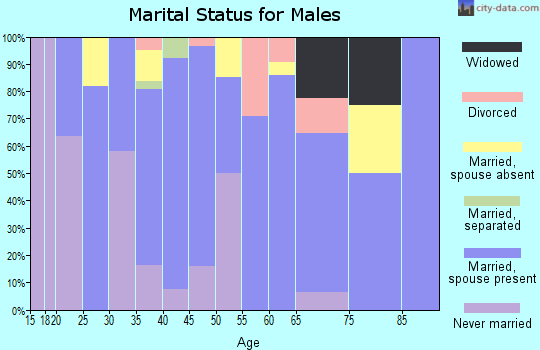 Zip code 12934 marital status for males