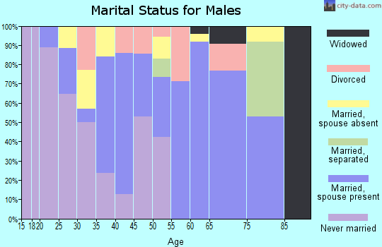 Zip code 12935 marital status for males