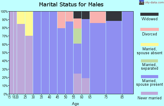 Zip code 12936 marital status for males