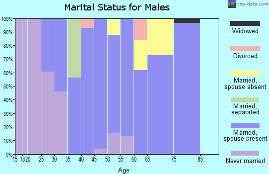 Zip code 12941 marital status for males