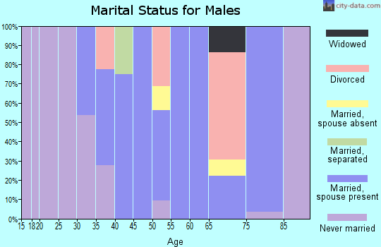 Zip code 12942 marital status for males