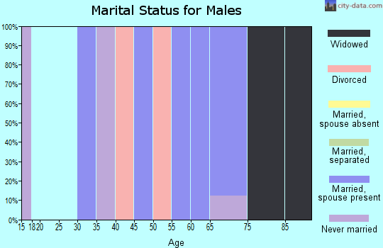 Zip code 12943 marital status for males