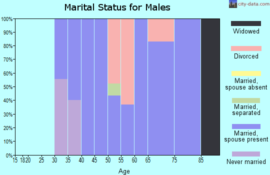 Zip code 12945 marital status for males