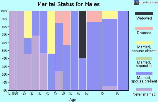 Zip code 12950 marital status for males