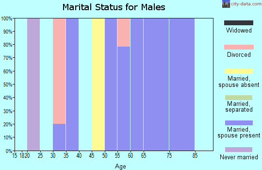 Zip code 12952 marital status for males