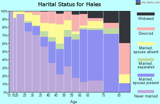 Zip code 12953 marital status for males