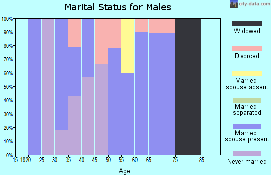 Zip code 12955 marital status for males