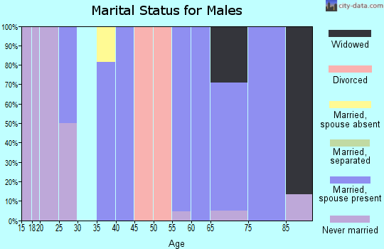 Zip code 12960 marital status for males