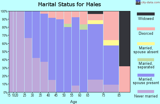 Zip code 12962 marital status for males