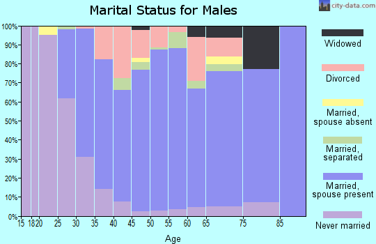 Zip code 12966 marital status for males