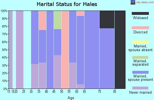 Zip code 12969 marital status for males