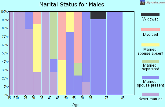 Zip code 12970 marital status for males