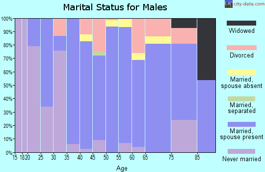 Zip code 12972 marital status for males