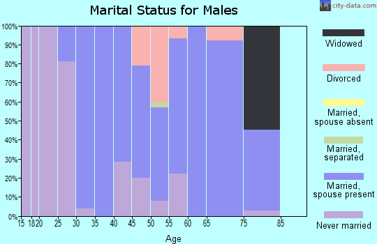 Zip code 12981 marital status for males
